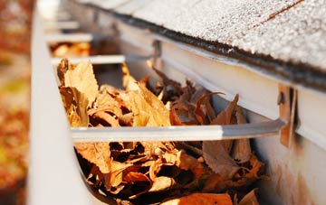 Netley Marsh gutter cleaning companies