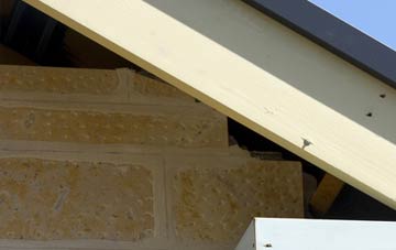 soffit repair Netley Marsh